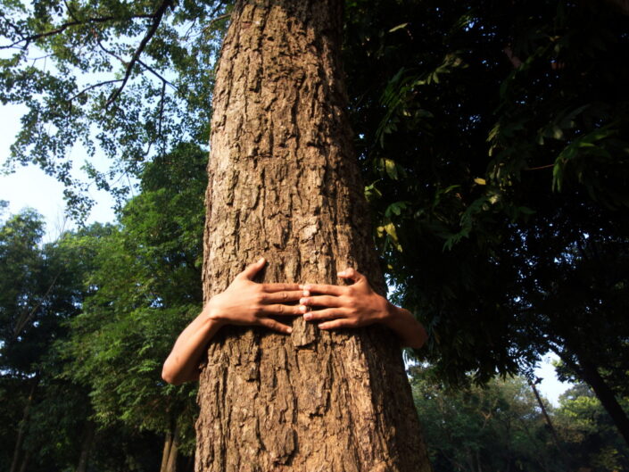 গাছ বাঁচাও , বাঁচাও নিশ্বাস Save the tree, save the breath